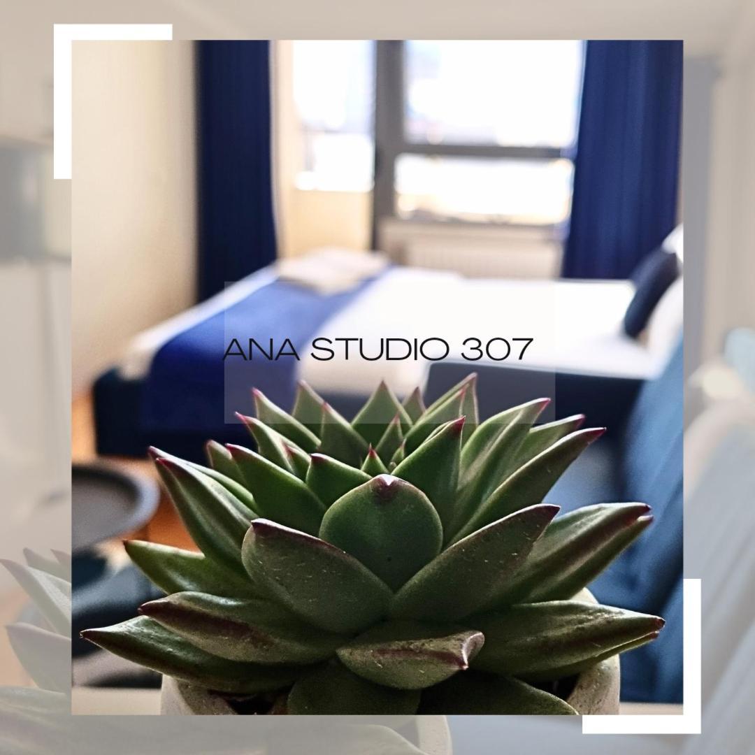 Ana Studio 307 Apartment Pristina Exterior photo